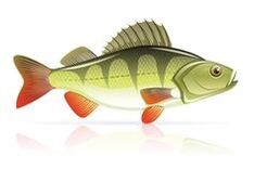 skaldjur för pankreatit